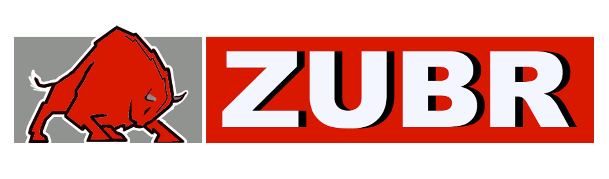 Zubr Energy