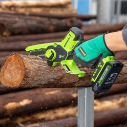 Цепная пила Greenworks G24MCS10 дл.шины:4" 10cm 1аккум. 2Ач ЗУ 2008207UA