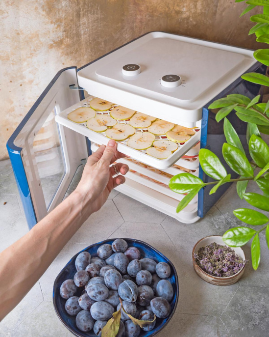 Сушилка для овощей и фруктов STARWIND SFD6431,  синий,  6 поддонов