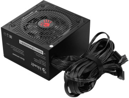 Блок питания BLOODY BD-PS700W, 700Вт, 80 PLUS WHITE, 120мм, черный, retail [bd-ps700w-r]