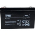 Батарея аккумуляторная 6 В, 12 Ач FIAMM FG11201