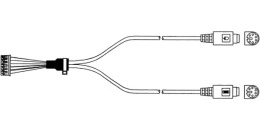 Кабель Advantech 1703060191 A Cable 1*6P-2.0/M-DIN 6P F *2 22cm ('1703060191)