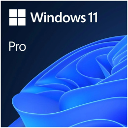 Комплект программного обеспечения Win Pro 11 32-bit/64-bit Russian USB