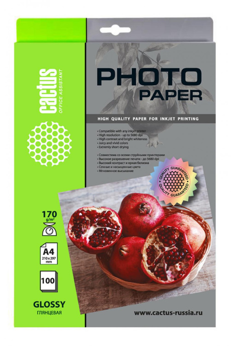 Фотобумага Cactus CS-GA4170100, A4, для струйной печати, 100л, 170г/м2, белый, покрытие глянцевое