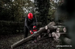 Цепная пила Milwaukee M18 FCHSC-0 FUEL (4933471441) (аккумуляторная, 18 В, бесщеточный двигатель, длина шины: 30 см, скорость цепи: 12.4 м/с, шаг цепи: 3/8")