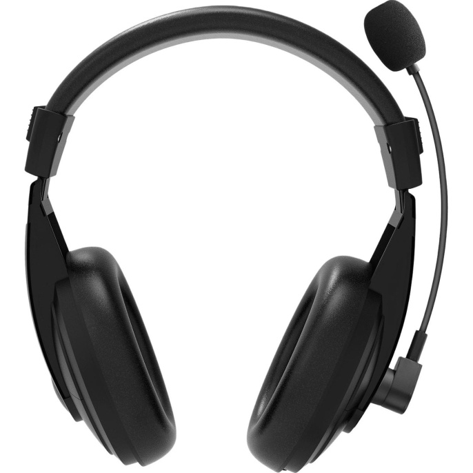 RAPOO Гарнитура проводная H150S, цвет - черный (12028)