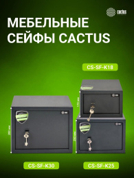 Сейф мебельный Cactus CS-SF-K25 взломостойкий 250x350x250мм ключевой