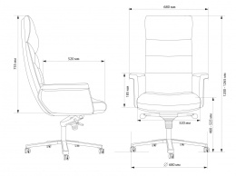 Кресло руководителя Cactus CS-LBK-AMSTERDAM, кожа, до 120кг, черный