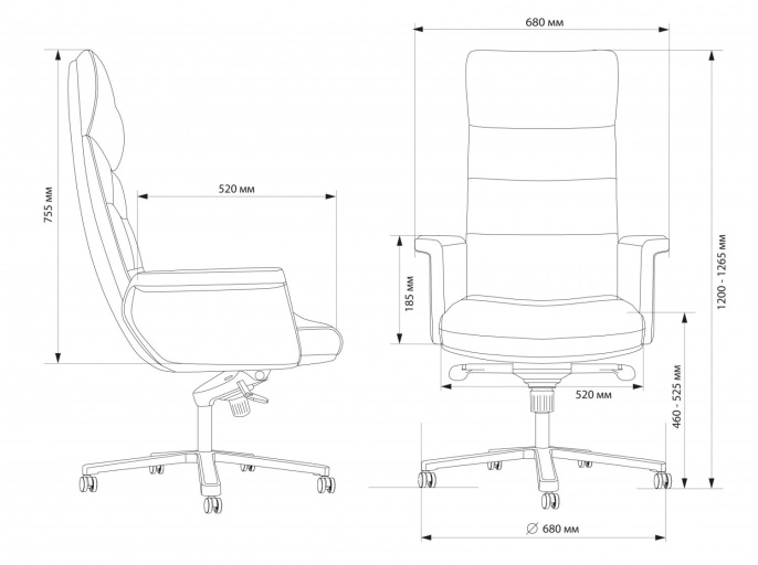 Кресло руководителя Cactus CS-LBK-AMSTERDAM, кожа, до 120кг, черный