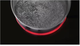 Варочная поверхность AEG HK634021XB черный/нержавеющая сталь