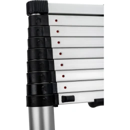 Лестница телескопическая 2.9м Gigant LT-01 1x10