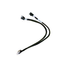Контроллер ASUS RS300-E11/PCIE-NVME1-SLSAS-R1M-A /SLIM-SAS CABLE/2 NVME 90SKC000-M74AN0