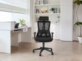 Кресло офисное компьютерное EVOLUTION ErgoLine 3 Black