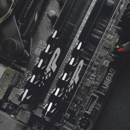 Оперативная память Patriot Signature Premium PSP48G32002H1 DDR4 - 1x 8ГБ 3200МГц, DIMM, Ret