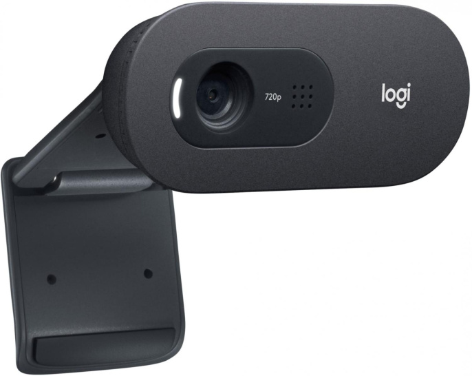 Web-камера Logitech HD Webcam C505e,  черный [960-001372]