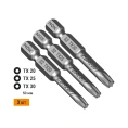 Набор бит (3 шт; Tx20, 25, 30; 50 мм; карта; E6.3) NOX 336009