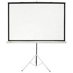 Экран Cactus Triscreen CS-PST-150X150 150х150 см 1:1, напольный белый