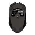 Мышь ExeGate Professional Standard SH-9025S-OEM USB, оптическая, 1000dpi, 3D, 3 кнопки и колесо прокрутки, длина кабеля 1,7м, черная, brown box EX293641RUS