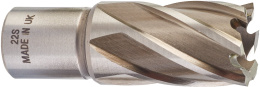 Фреза Milwaukee HSS D22х30мм (4932343278) (кольцевая, с хвостовиком Weldon 19мм, на 30% больше производительности)