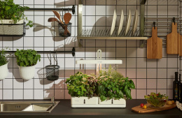 Гидропонная установка Cactus Garden 3л 20 белый (CS-LEDPOT-08)