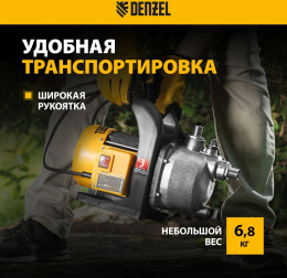 Садовый поверхностный насос Denzel GPL800Х 800Вт 3200л/час 97302