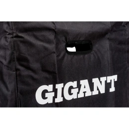 Лестница телескопическая 2.9м Gigant LT-01 1x10