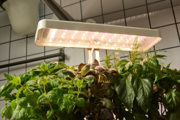 Гидропонная установка Cactus Garden 3л 20 белый (CS-LEDPOT-08)