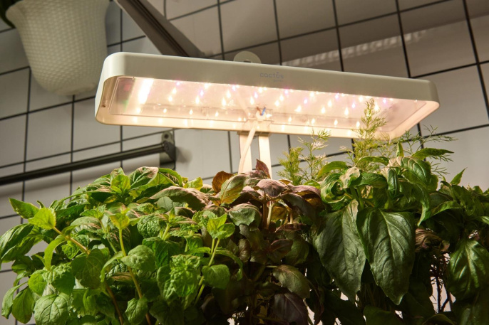 Гидропонная установка Cactus Garden 3л 20 белый (CS-LEDPOT-08)