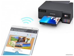 Принтер струйный Epson L8050 (C11CK37405/506/507/504/402) A4 WiFi черный