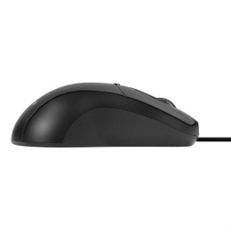 Мышь ExeGate Professional Standard B100L (USB, оптическая, 1000dpi, 3D, 3 кнопки и колесо прокрутки, длина кабеля 2м, черная, Color Box) EX298196RUS