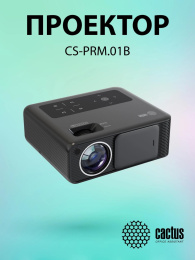 Проектор Cactus CS-PRM.01B.Full HD-A LCD 19000Lm LS 700Lm ANSI (1920x1080) 2500:1 ресурс лампы:50000часов 2xUSB typeA 2xHDMI 1.8кг