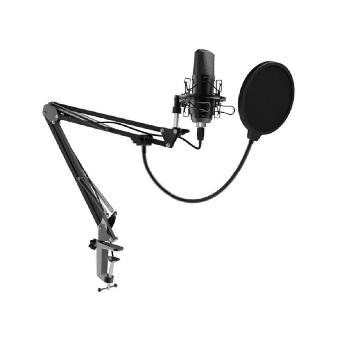 Микрофон Ritmix RDM-169, черный [80000749]