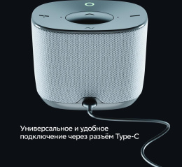 Умная колонка SBER Boom Home SBDV-00171G, 8Вт, с Салют, серый