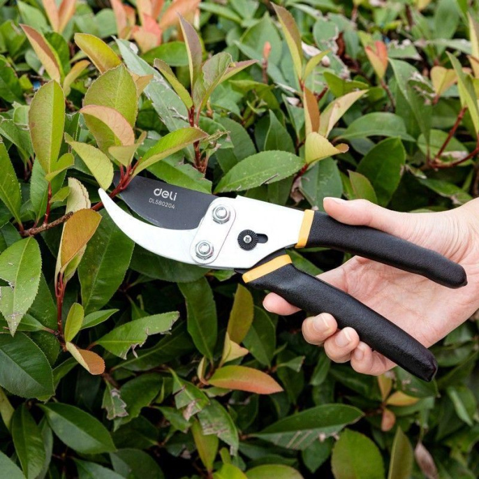 Секатор садовый Deli DL580204 лезвия с тефлоновым покрытием, длина 200мм, макс.диаметр резки 15мм, сталь 55С