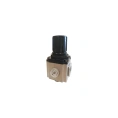 Регулятор давления 1F SHPI GAR600-25-SG