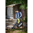 Садовый пылесос Ryobi RBV3000CESV 5133002190