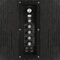 Колонки GMNG GG-SP600AC, 2.0, черный [1892941]
