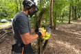 Цепная пила Ryobi ONE+ 18В RY18CS20A-125 5133005415