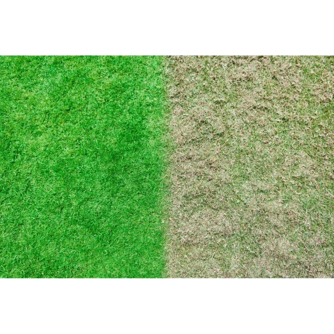 Бесщеточный скарификатор-аэратор Ryobi ONE+ RY18SFX35A-0 5133004548