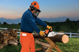 Бензопила Stihl MS 170 1300Вт 1.8л.с. дл.шины:16" 40cm