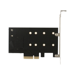 Переходник ExeGate EXE-509 M.2 B key - SATA + M.2 M Key - PCI-E x4, для установки SSD M.2 B key и M key в слот PCI-E EX283713RUS