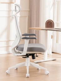 Кресло компьютерное EVOLUTION HybridFlex White