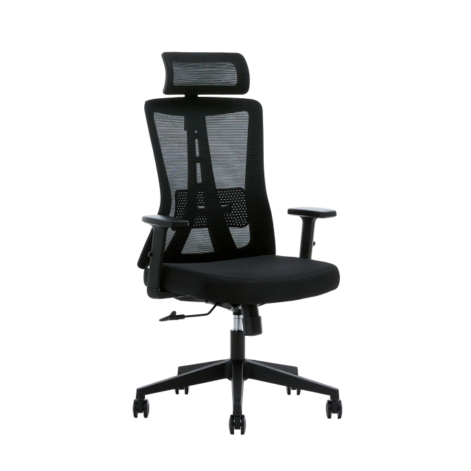 Кресло офисное компьютерное EVOLUTION ErgoLine 3 Black