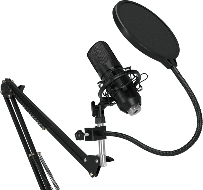 Микрофон проводной Оклик SM-600G 2.5м черный 1796784