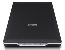 Сканер Epson Perfection V19 [b11b231401/b11b231503]