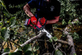 Цепная пила Milwaukee M18 FHS20-0 (4933480117) (аккумуляторная, 18 В, бесщеточный двигатель, длина шины: 20 см, скорость цепи: 5 м/с, шаг цепи: 3/8", поставляется без зарядного устройства)