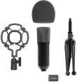 Микрофон Ritmix RDM-160, черный [80000132]