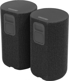 Тыловая колонка Sony SA-RS5, 2 колонки в комплекте , черный