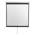 Экран DIGIS Optimal-D DSOD-1105, 200х200 см, 1:1, настенно-потолочный