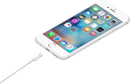 Кабель Apple ME291ZM/A_ USB (m)-Lightning (m) 0.5м белый